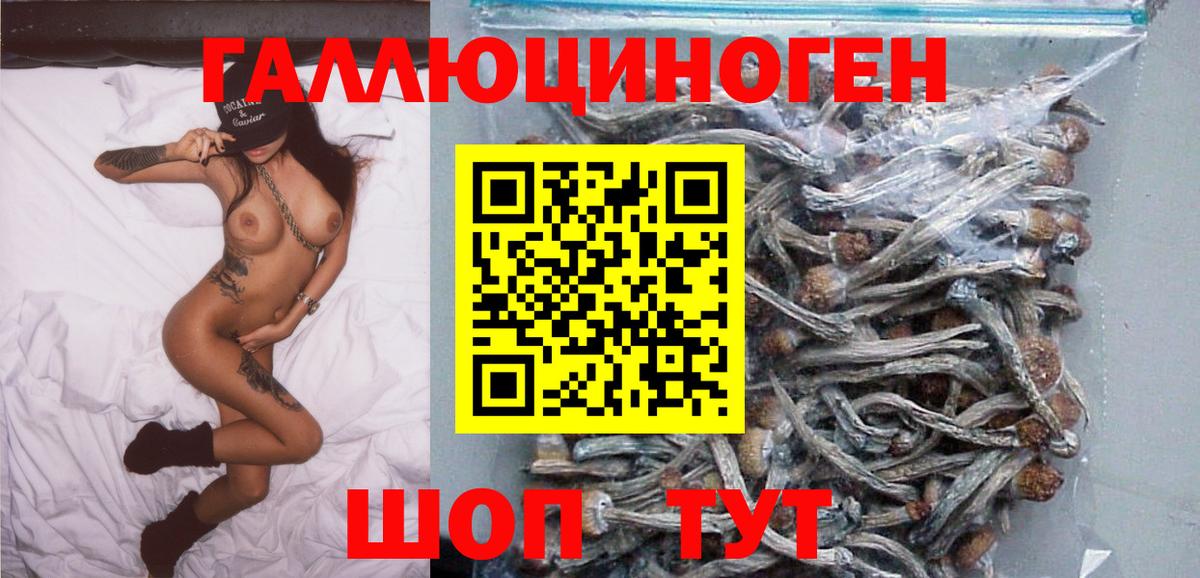 Меф   МЕТАДОН  Каннабис  Бошки Шишки  Донской  Вход с VPN  Меф МЯУ МЯУ  ГАШ 