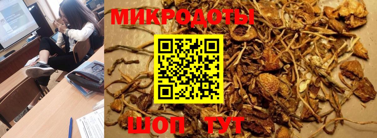 Донской  Галлюциногенные грибы прущие грибы  Вход с VPN 
